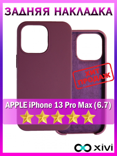 13 pro Max
