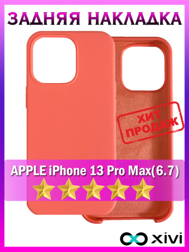 13 Pro Max